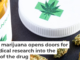 The new federal classification of marijuana regulates only medical use; recreational use is still determined by state laws. tvirbickis/iStock via Getty Images Plus